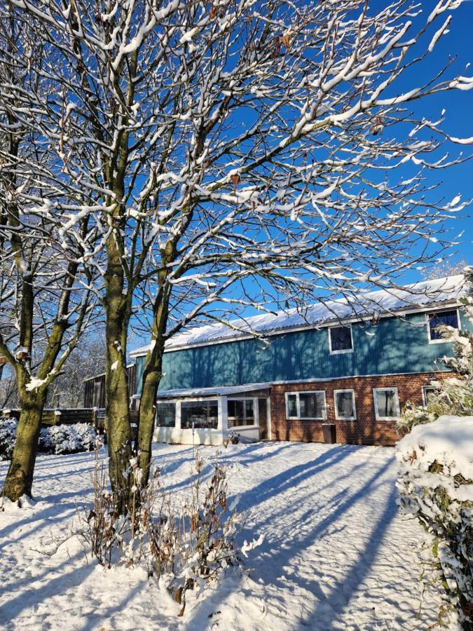 Ferienwohnung Sort Sol Grellsbuelldeich 7 Aventoft Eksteriør bilde