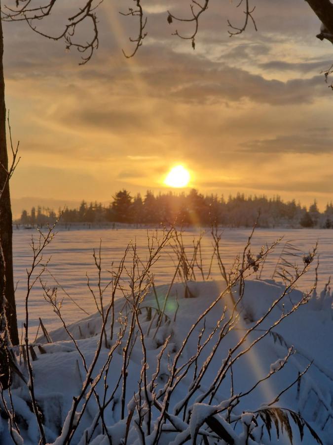 Ferienwohnung Sort Sol Grellsbuelldeich 7 Aventoft Eksteriør bilde