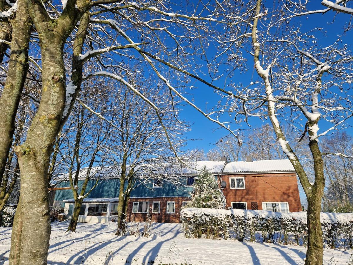 Ferienwohnung Sort Sol Grellsbuelldeich 7 Aventoft Eksteriør bilde
