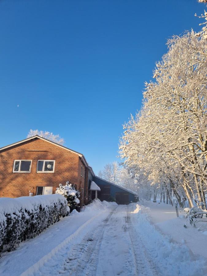 Ferienwohnung Sort Sol Grellsbuelldeich 7 Aventoft Eksteriør bilde