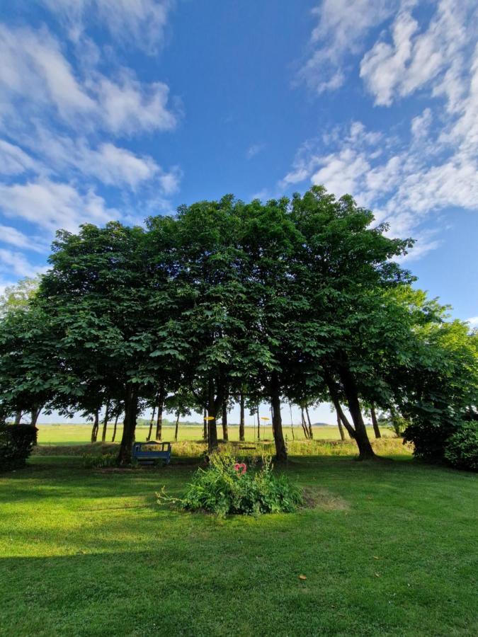 Ferienwohnung Sort Sol Grellsbuelldeich 7 Aventoft Eksteriør bilde