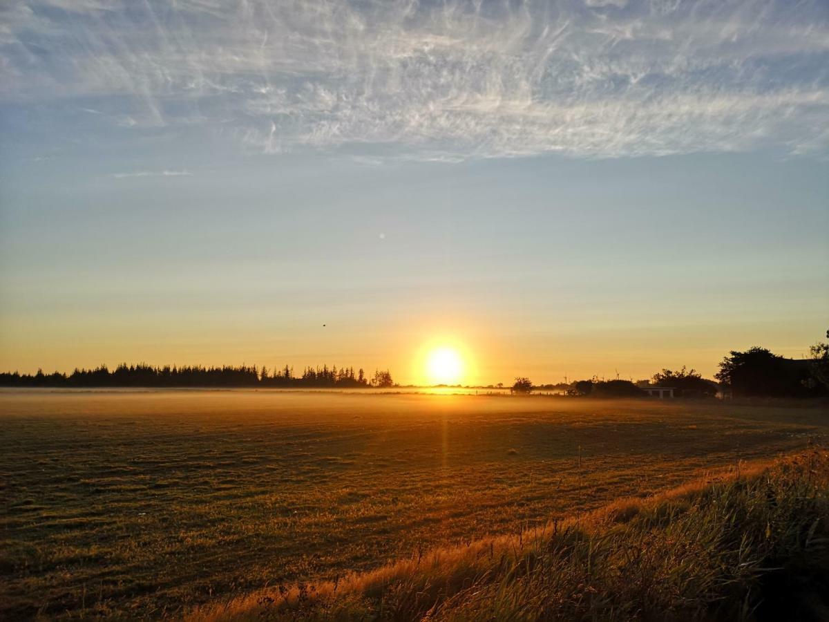 Ferienwohnung Sort Sol Grellsbuelldeich 7 Aventoft Eksteriør bilde